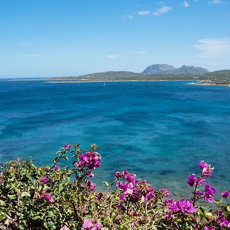 Casa Valery Wonderful Sea View * Porto Rotondo