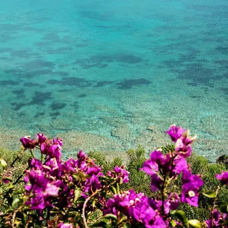 Διαμέρισμα Casa Valery Wonderful Sea View