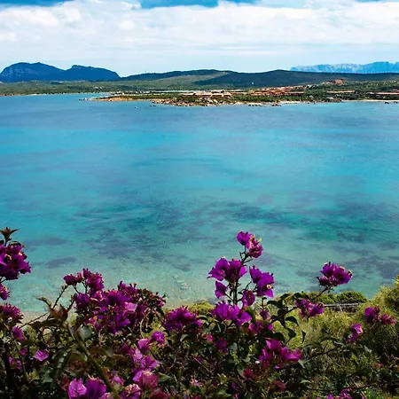 Casa Valery Wonderful Sea View Porto Rotondo