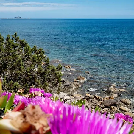 Casa Valery Wonderful Sea View 아파트